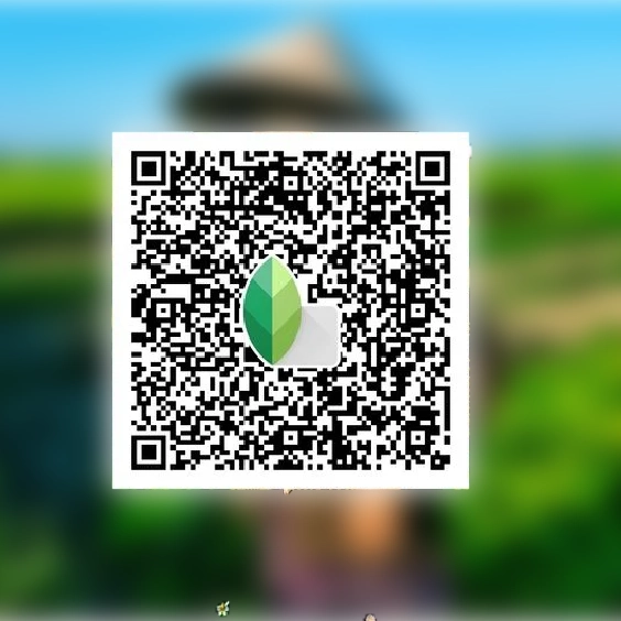 Snapseed QR Codes hd 4k