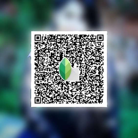 Snapseed QR Codes blur background iphone