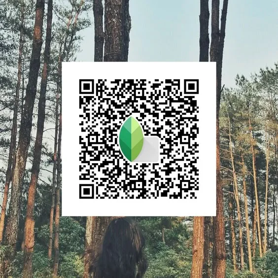 snapseed background qr code