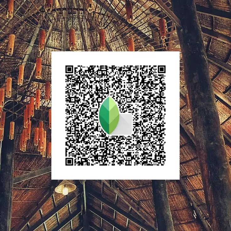 Vintage Cinematic Snapseed qr code