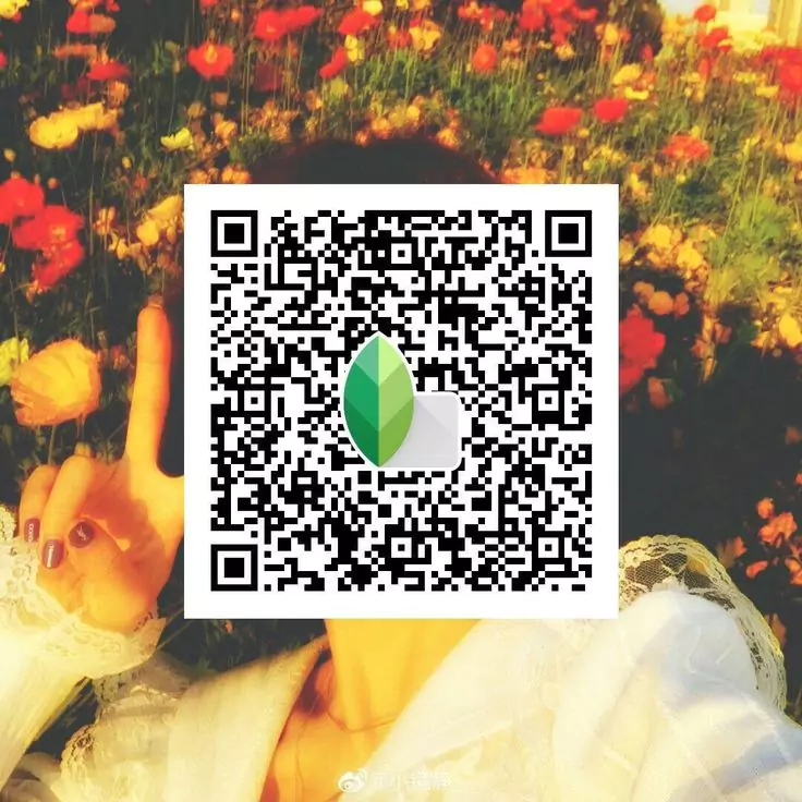  Snapseed Bright & Vibrant qr code