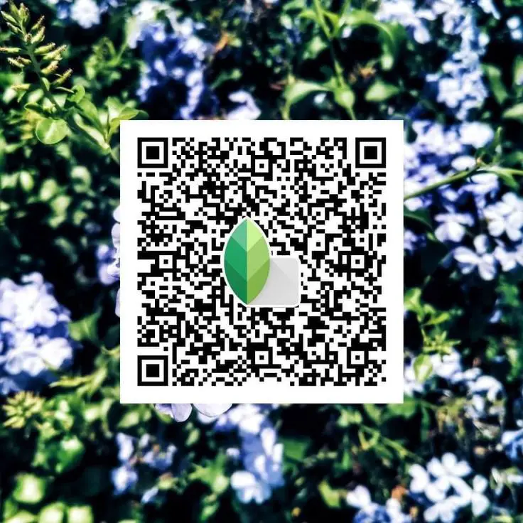 how to use snapseed qr code
