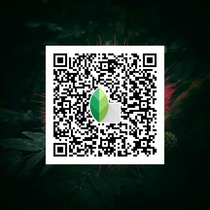 snapseed qr code night photo editing
