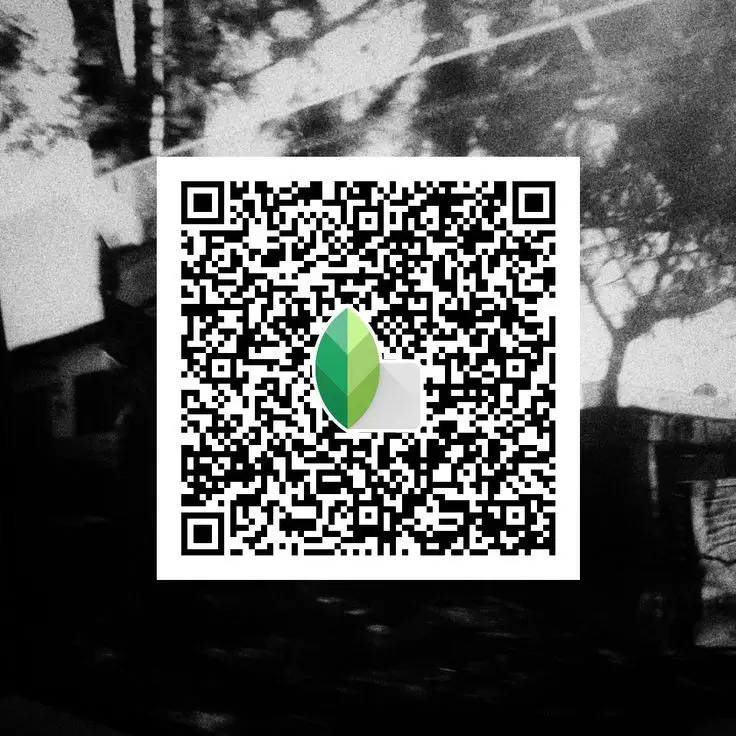 black and white snapseed qr
