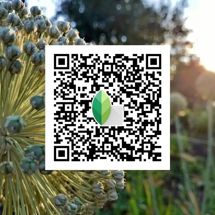 background snapseed qr code
