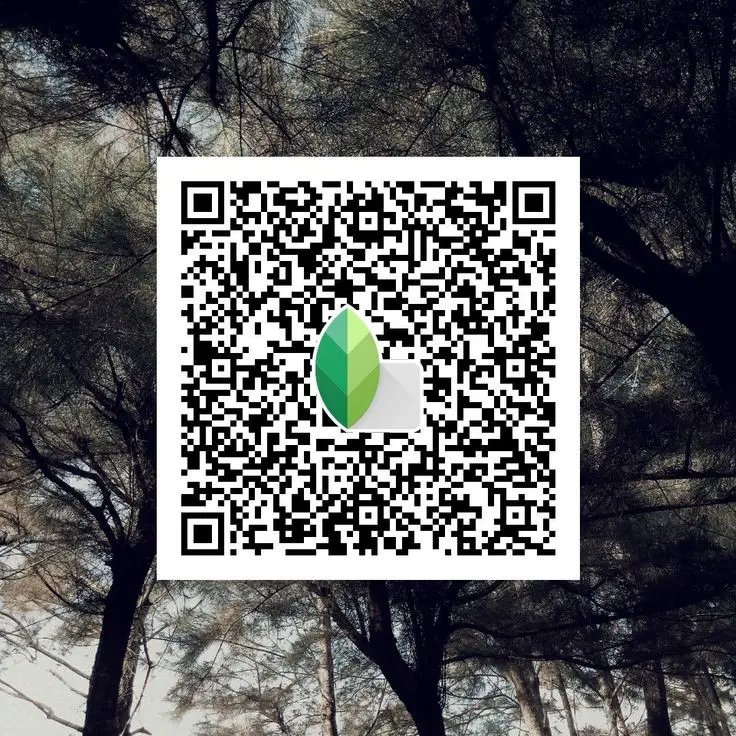 black background snapseed qr code
