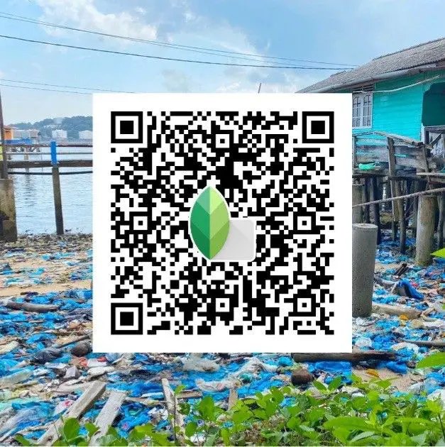 snapseed qr code ai
