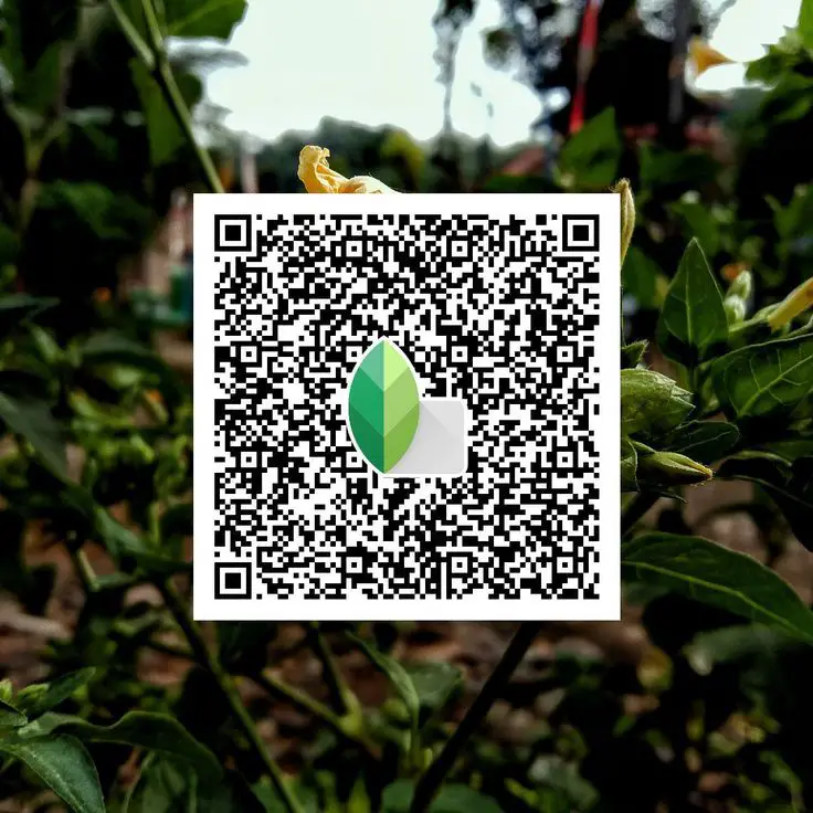 snapseed qr codes blur background download
