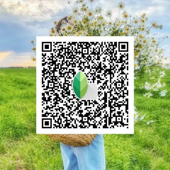 snapseed qr code editing photo
