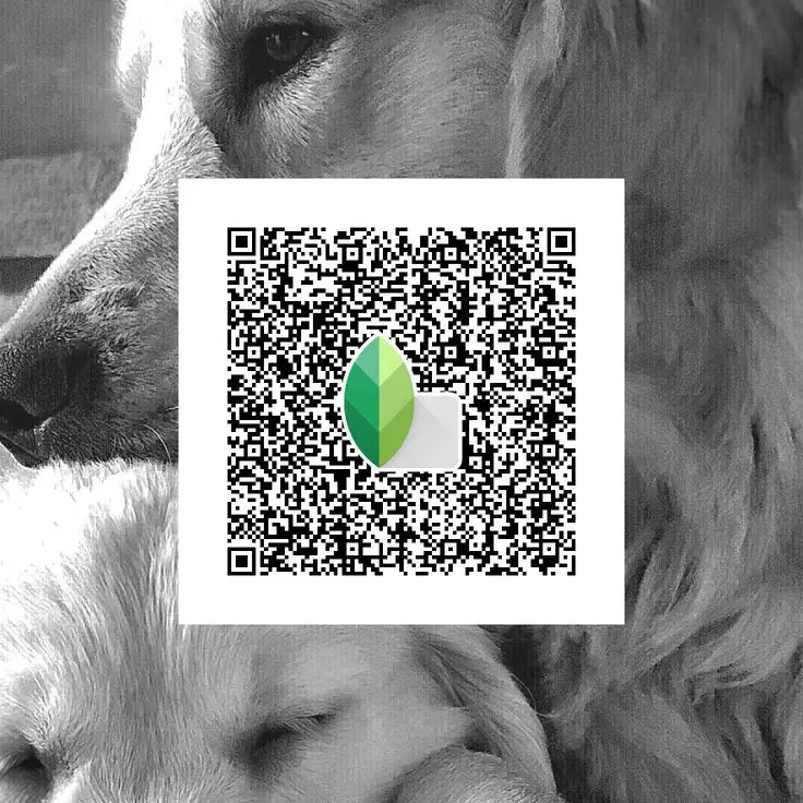 snapseed qr code app free download
