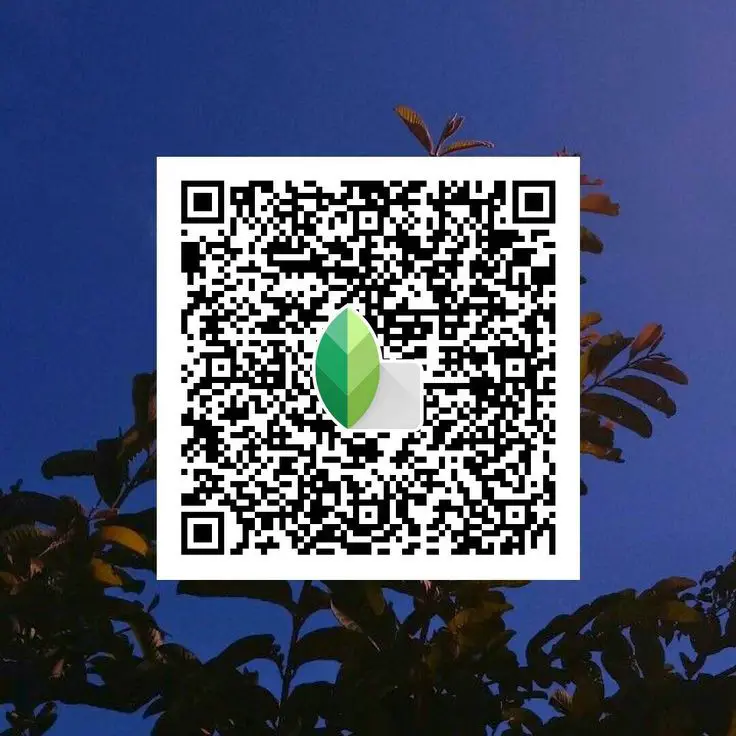 snapseed qr code attitude
