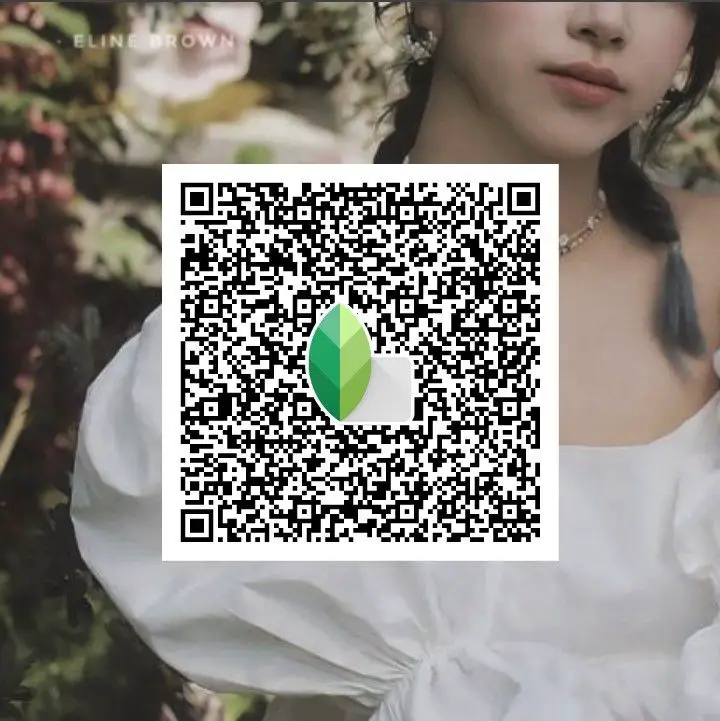 snapseed qr codes hd 4k
