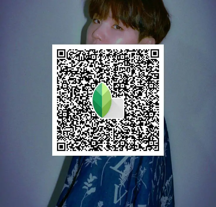 snapseed qr codes face
