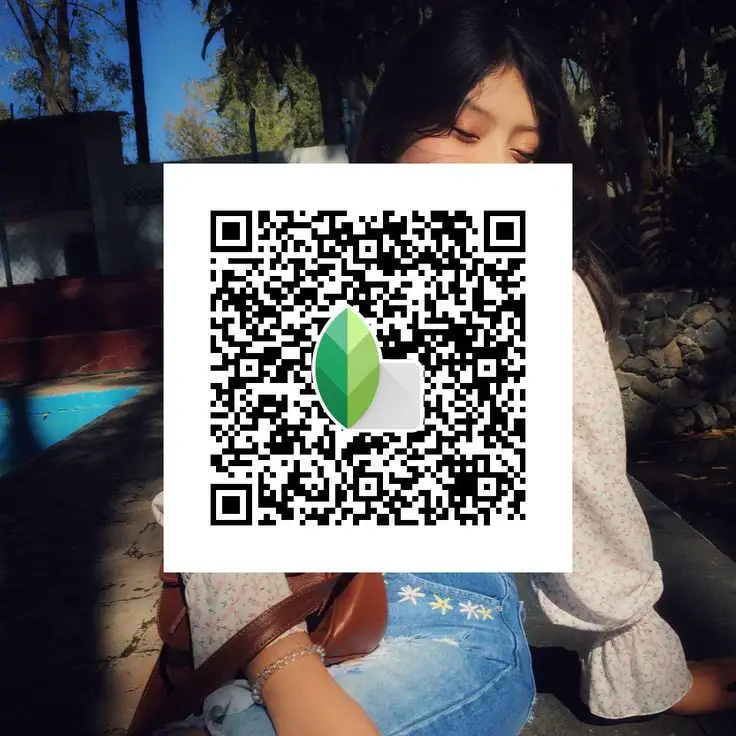 snapseed qr codes face
