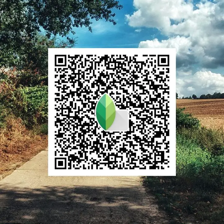 snapseed qr codes background
