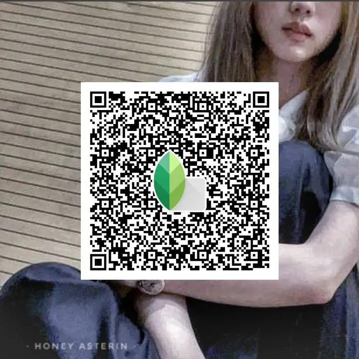 snapseed qr codes hd
