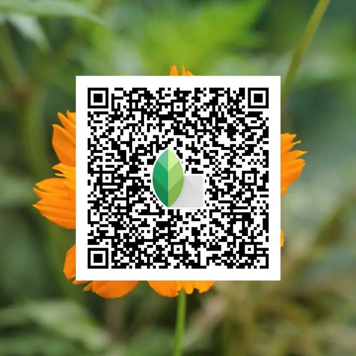 snapseed qr code photo editing hd 4k
