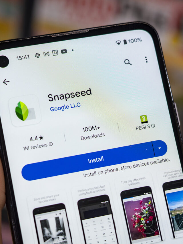 what are the disadvantages of snapseed?